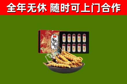 荥阳回收冬虫夏草价格