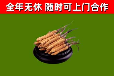 荥阳烟酒回收冬虫夏草.jpg